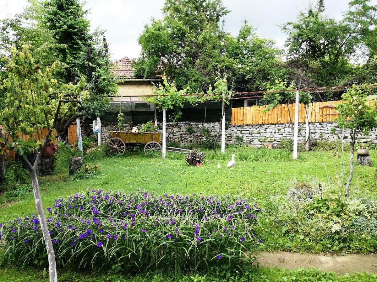 Divna Guest House Krushuna Ngoại thất bức ảnh