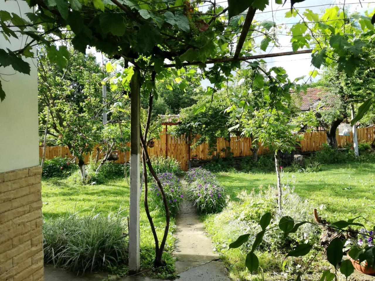 Divna Guest House Krushuna Ngoại thất bức ảnh